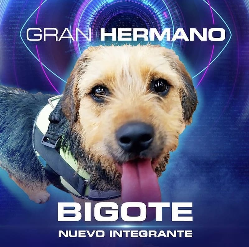 Créditos: Instagram