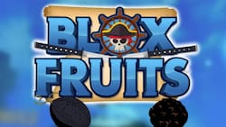 Códigos Blox Fruits septiembre 2023: Canjea dinero y experiencia gratis
