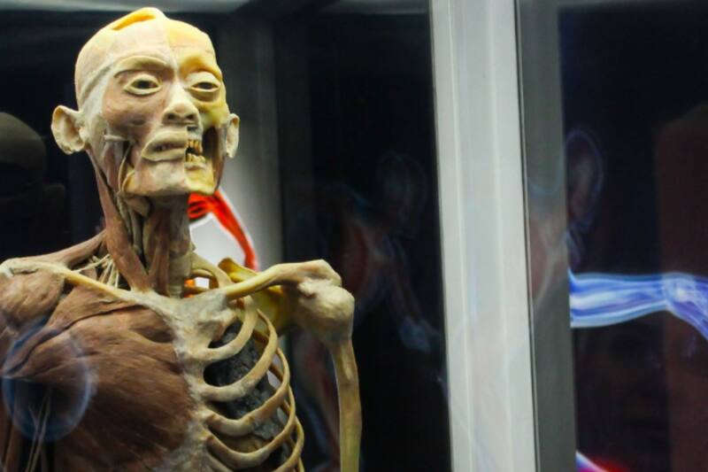 Entérate qué valor tienen las entradas y dónde estará la muestra interactiva.