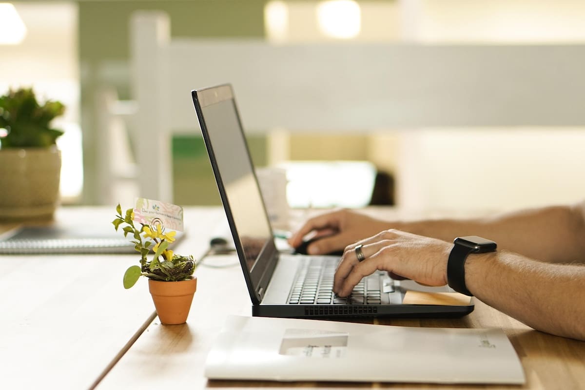 Consulta cómo postular a empleos públicos y privados. Créditos: Pixabay.