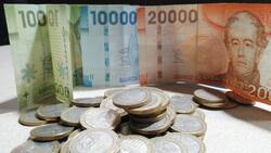 Bolsillo Familiar Electrónico: ¿Cuándo se entregarán nuevos pagos de $13.500?
