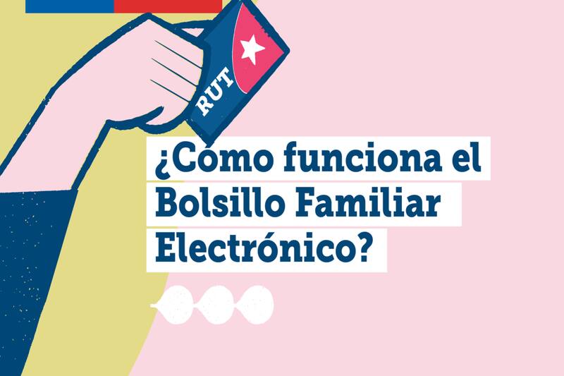 Revisa todos los detalles de este aporte. Créditos: Gobierno de Chile.