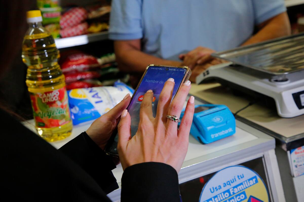 ¿Quiénes pueden recibir el Bolsillo Electrónico Familiar?