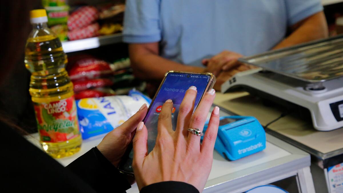 Bolsillo Familiar Electrónico: ¿Quién puede recibir este beneficio?