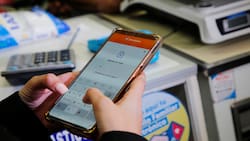 Conoce si recibirás el pago de agosto del Bolsillo Familiar Electrónico