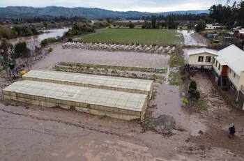 Gobierno compromete $20 mil millones para agricultores afectados por lluvias