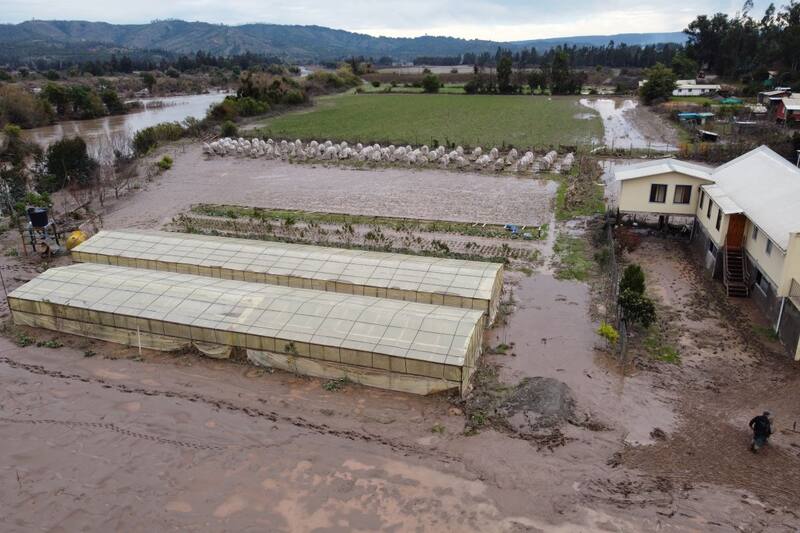 Conoce más detalles sobre estas ayudas anunciadas.