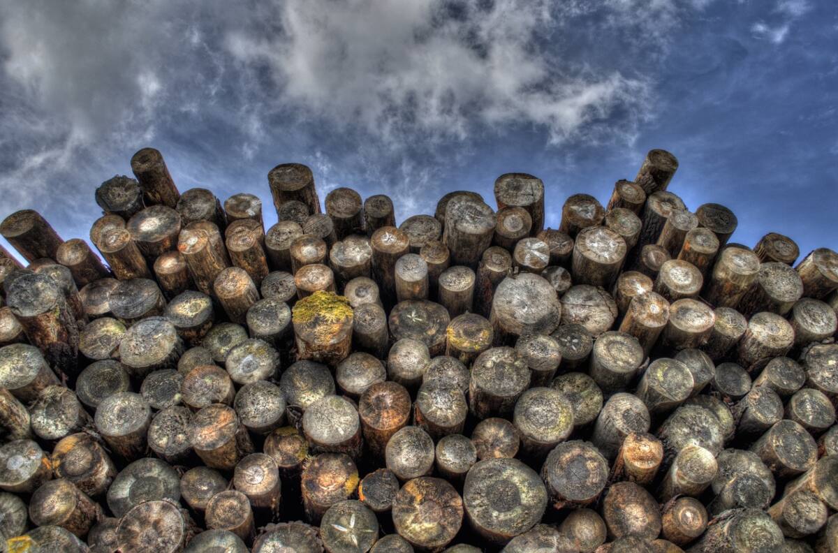 Bono Calefacción 2023: Solo con tu RUT puedes revisar si recibes el aporte de $100 mil