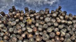 Bono Calefacción 2023: Solo con tu RUT puedes revisar si recibes el aporte de $100 mil