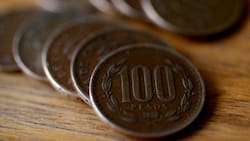 Podrías tener $12.000 pendientes: Conoce si no has cobrado el Bono Canasta Básica