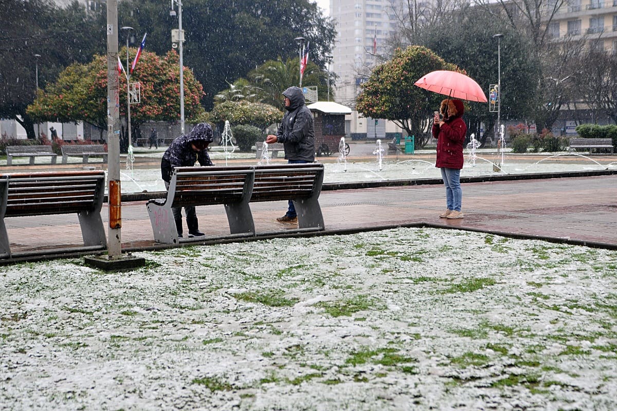 El aporte se entregó para apoyar a las familias ante los gastos generados en invierno. Créditos: ATON