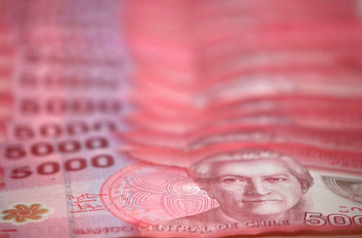 Revisa con tu RUT si recibes los $10.000 mensuales que entrega el IPS