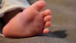 Bono Control Niño Sano: ¿Cómo acreditar el control de niña o niño sano al día para recibir $11 mil al mes?