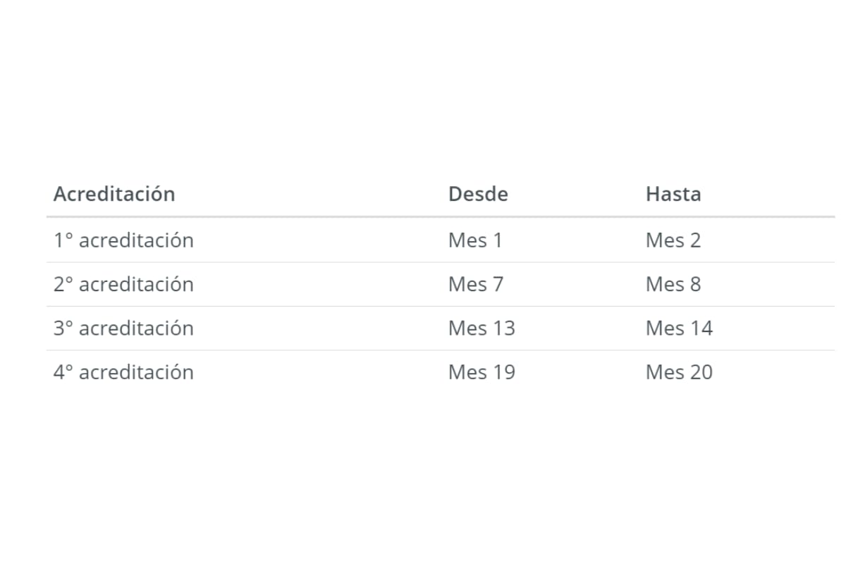 Estas son las fechas en las que se debe acreditar el carnet de niño sano al día.