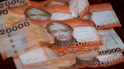 Gobierno confirma bono para damnificados por incendios forestales: Fecha de pago y requisito para recibir hasta $1.500.000