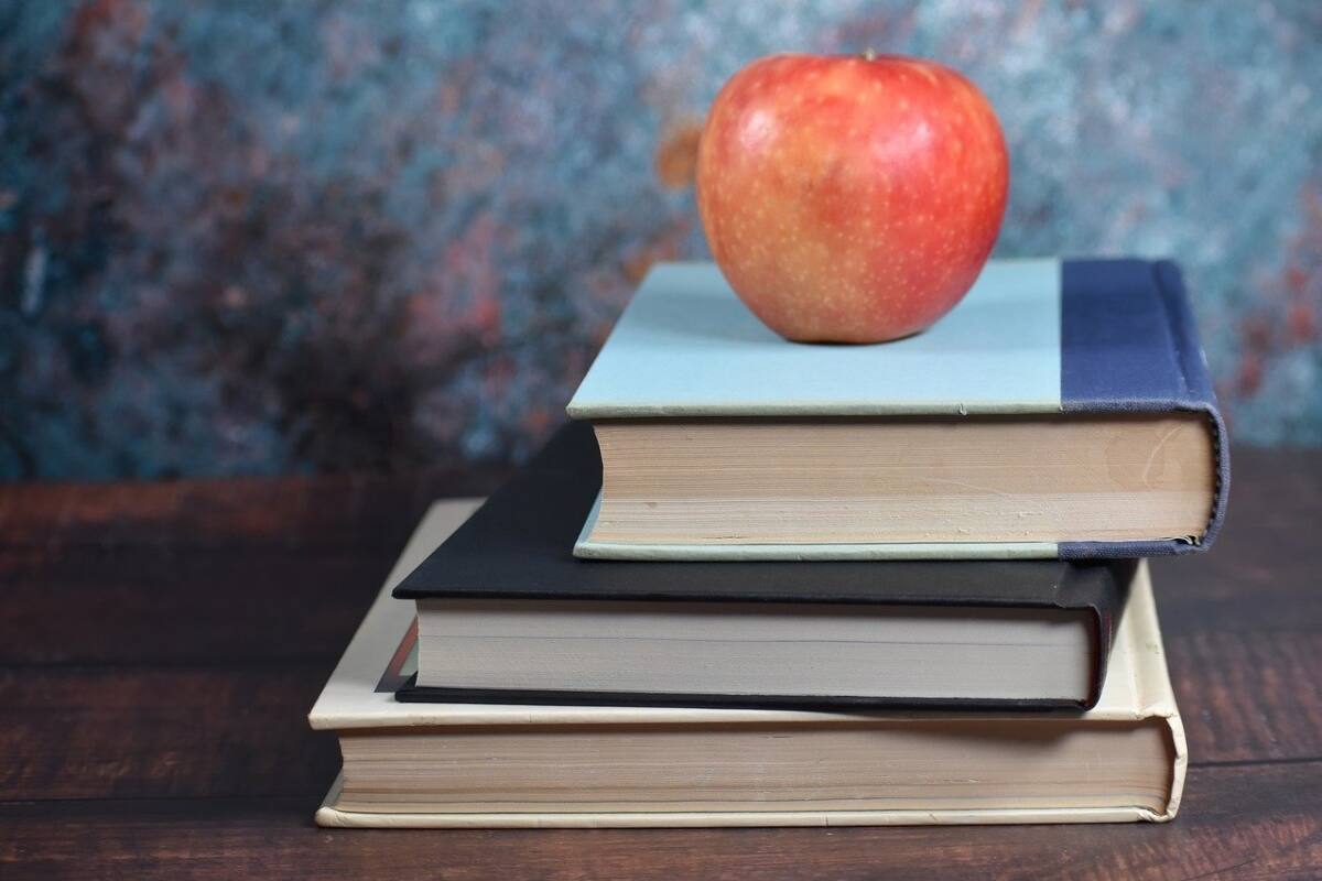 Estas son las condiciones del Bono Docente.