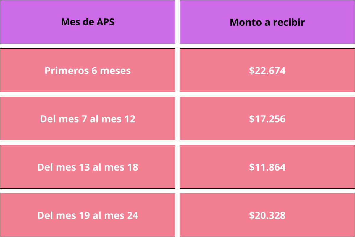 Estos son los montos que otorga este beneficio.