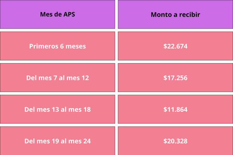 Estos son los montos que otorga el Bono Dueña de Casa.
