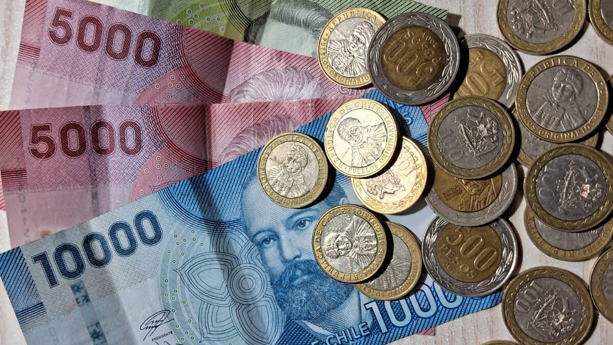 Bono de Protección para dueñas de casa 2026: Requisitos y consulta con tu RUT si puedes recibir los $452 mil