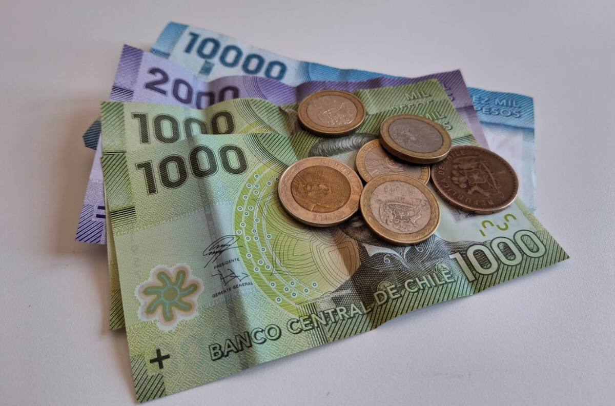 Sence pagará $42.000 en diciembre a trabajadores del 40% del RSH: Conoce con tu RUT si lo recibes