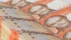 IPS comenzó a pagar más de $77.000 a adultos mayores: ¿Hasta cuándo puedes retirarlos?