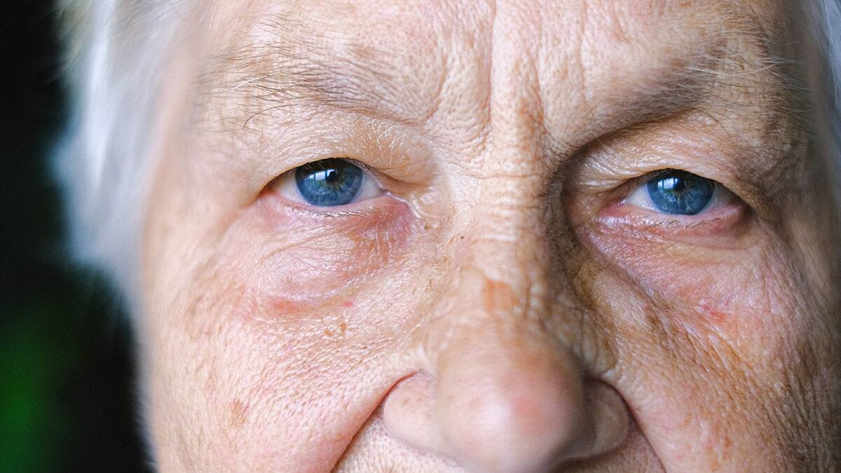 Consulta con tu RUT la fecha de pago del Bono Invierno 2025