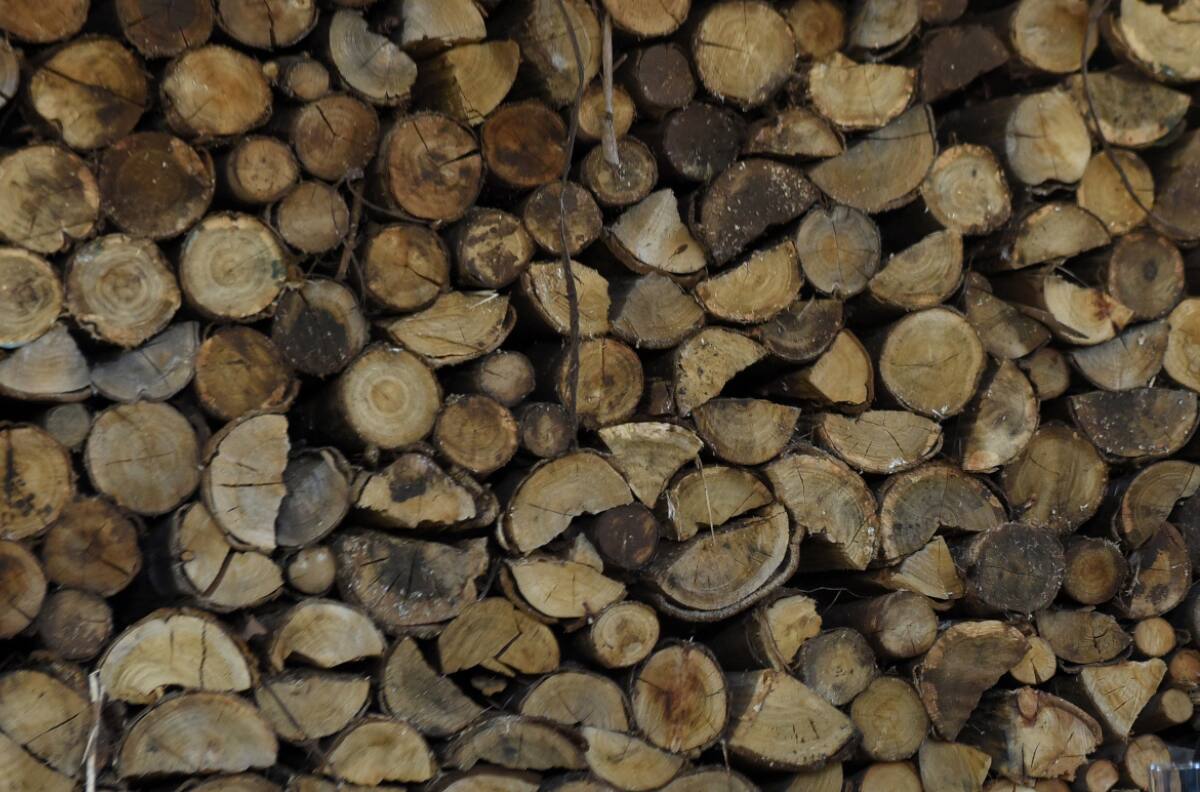 Bono de Calefacción: ¿Cómo saber si soy beneficiario y cuánto dinero entrega?