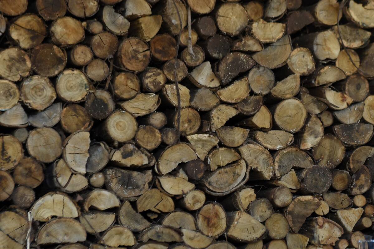 Conoce todos los detalles del beneficio. Créditos: ATON.