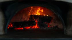 Bono Leña: ¿Cómo acceder al beneficio, cuáles son los requisitos y cuál es su monto?