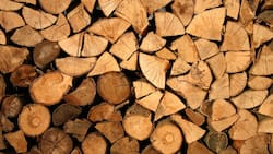 Revisa si tienes pendiente el bono de $100.000 que entregó el Estado para el frío