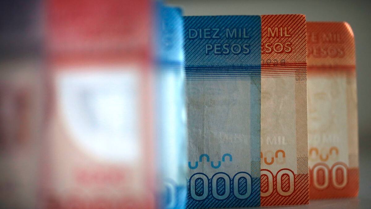 Solo con tu RUT conoce si tienes pendiente los $100.000 del Bono Leña