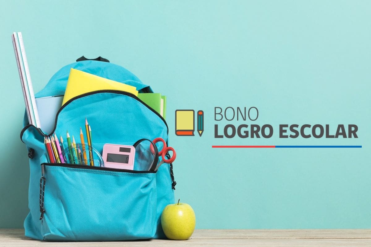 Revisa los detalles de este aporte. Créditos: Pixabay - Ministerio de Desarrollo Social y Familia