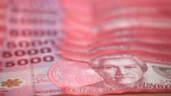 Conocida cooperativa entrega bono especial de $271.000 a adultos mayores: se solicita por mail