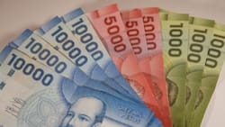 Bono por Hijo entrega hasta $165.000 por causante: Así puedes acceder a este monto
