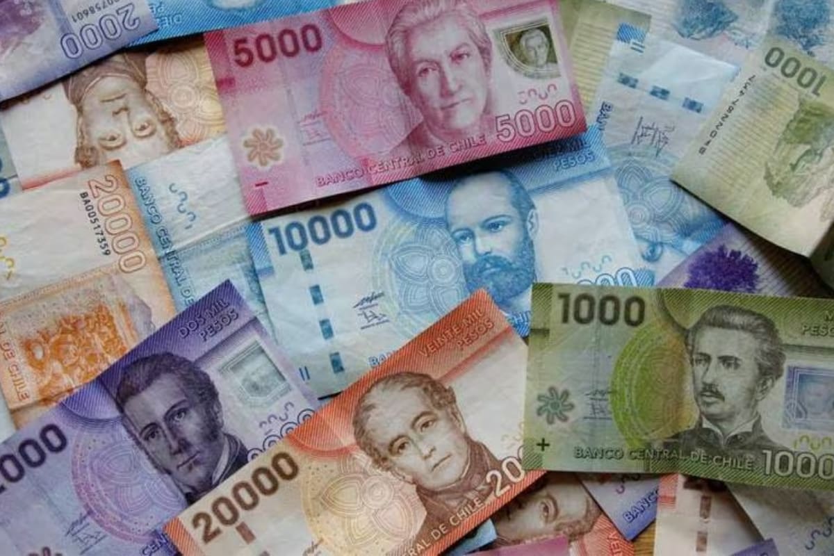 Conoce si peudes recbir este aporte mensual del IPS.