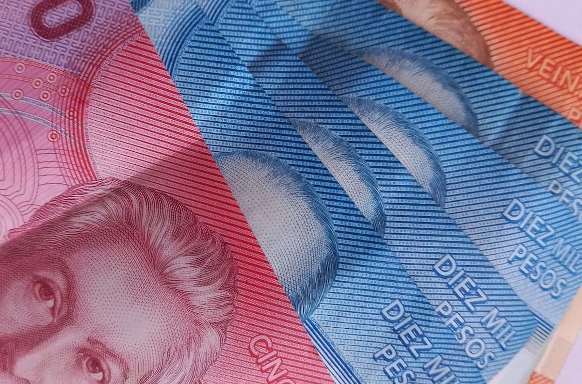 Conoce todos los bonos que puedes recibir si estás cesante