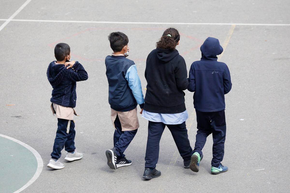 Conoce el detalle de cada una de los beneficios. Foto: ATON.