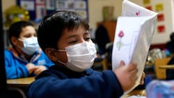 Caja de compensación paga seis bonos para estudiantes: Uno es de $180 mil