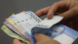 Estos son todos los bonos del Gobierno que puedes cobrar si estás trabajando