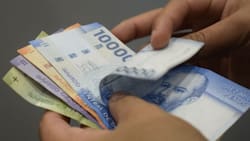 ¿Estás trabajando? Podrías recibir uno de estos 5 beneficios del Estado