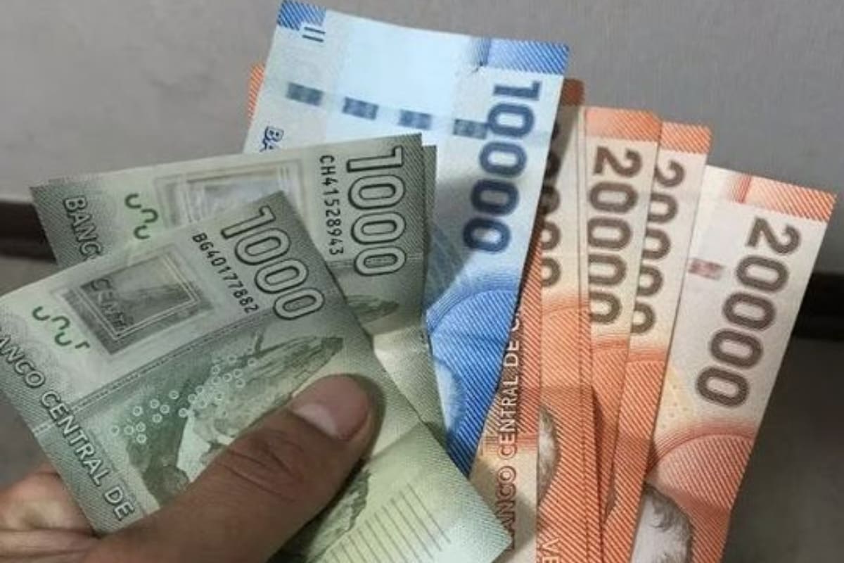 Estos son los 5 aportes que pueden recibir los trabajadores.