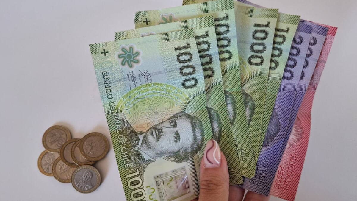 Solo con tu RUT conoce si tienes beneficios del Estado pendientes de cobro