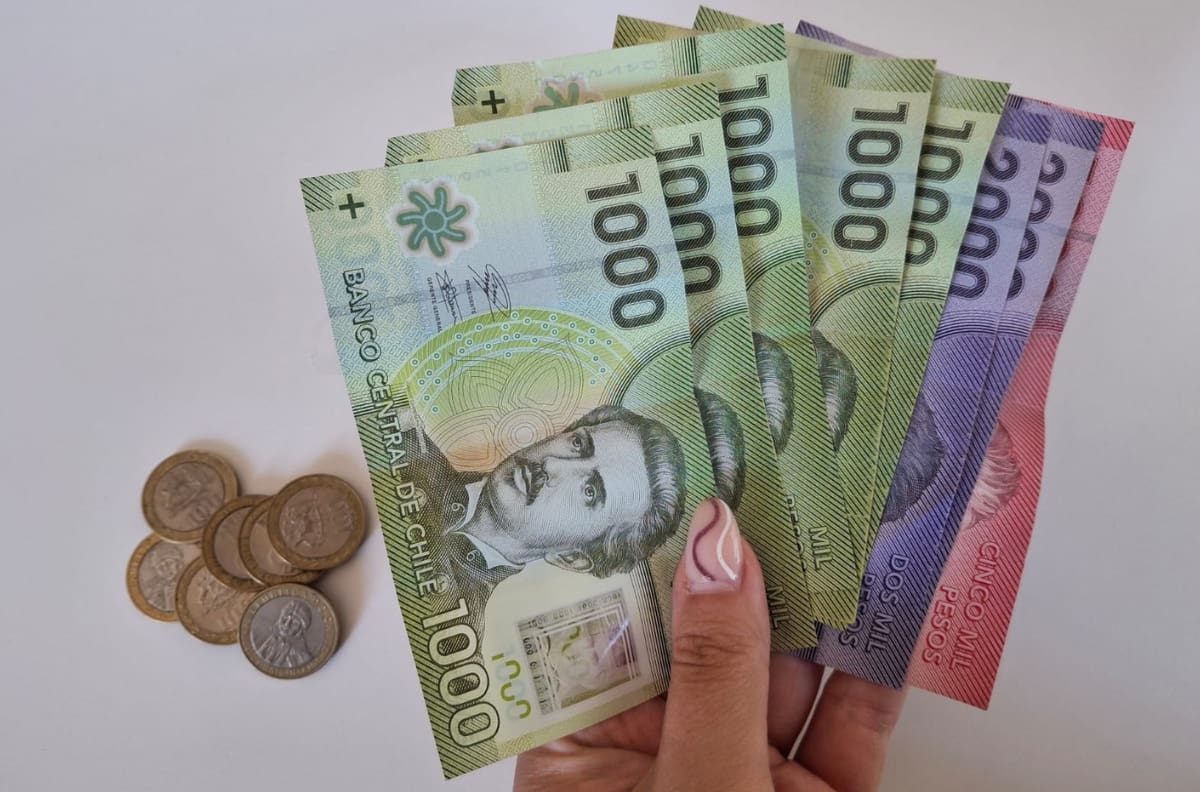 Solo con tu RUT conoce si tienes beneficios del Estado pendientes de cobro
