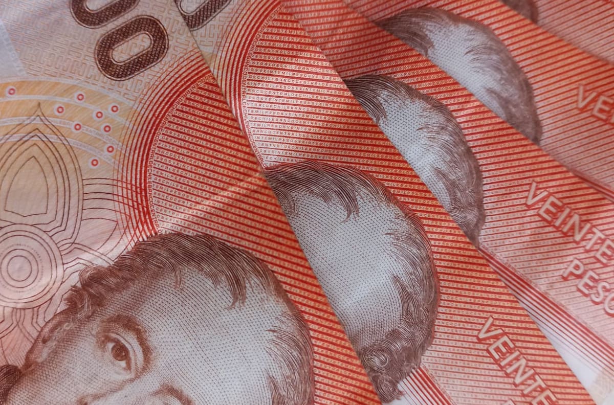 Bonos Sence: ¿Cuáles son los requisitos para postular a estos 4 beneficios?