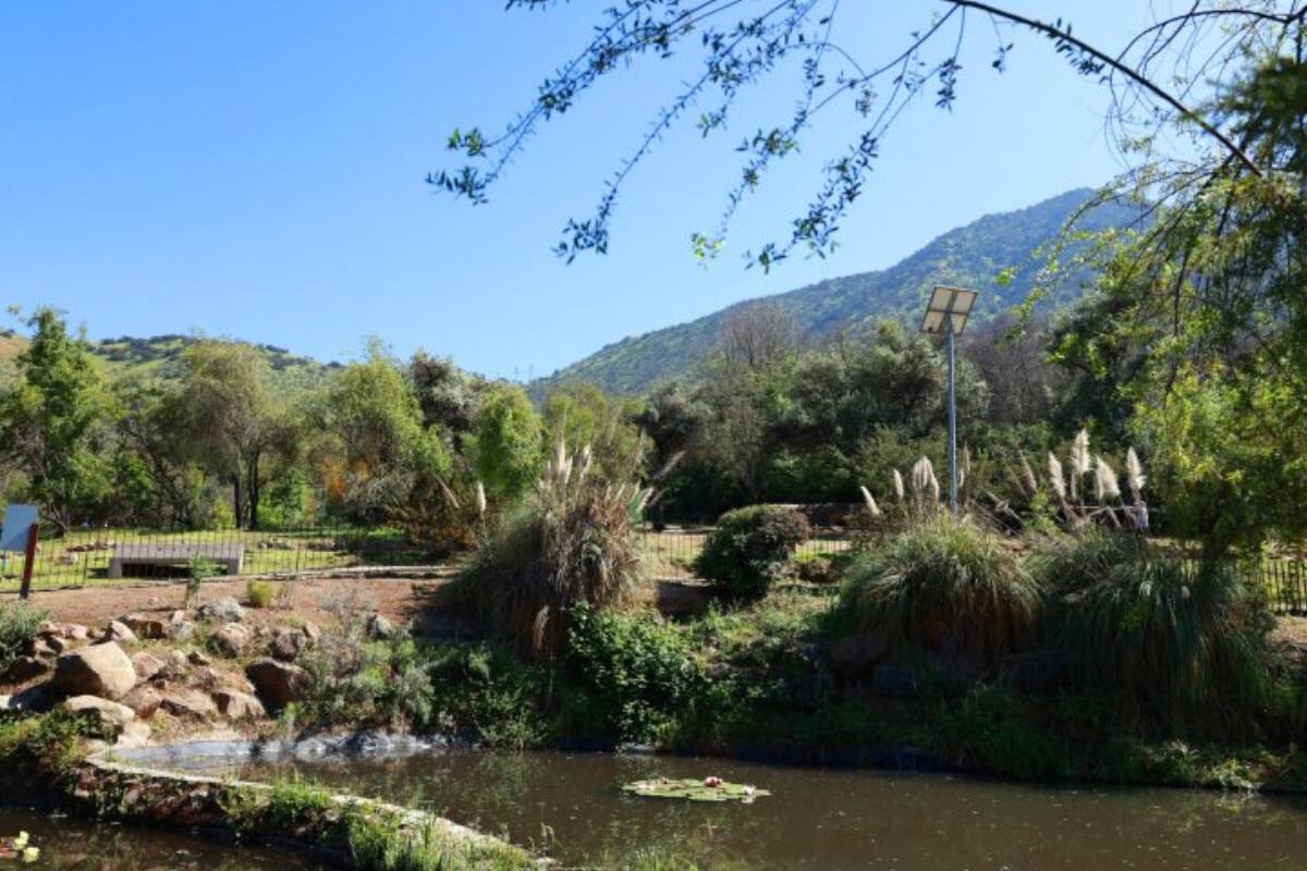 Senderos rodeados de flora nativa y actividades educativas al aire libre.