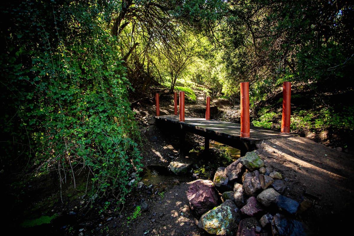 El agua que cruza el lugar se origina en las cimas de la Cordillera de Los Andes, donde la nieve que se derrite en primavera se filtra a través de las rocas. Foto: parqueguayguay.cl