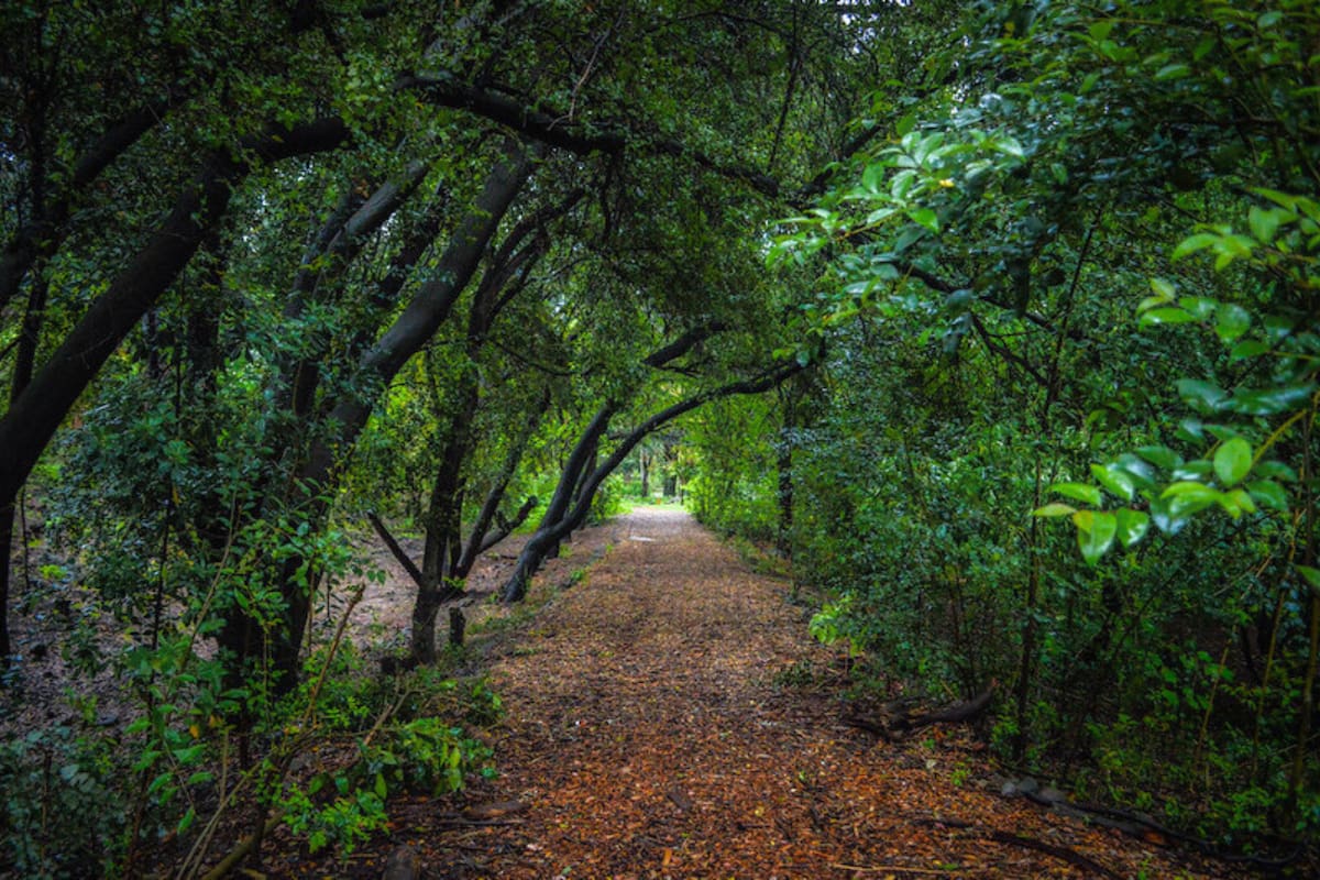 Un paraje del Parquemet que no muchos conocen. Créditos: Visitar Chile.