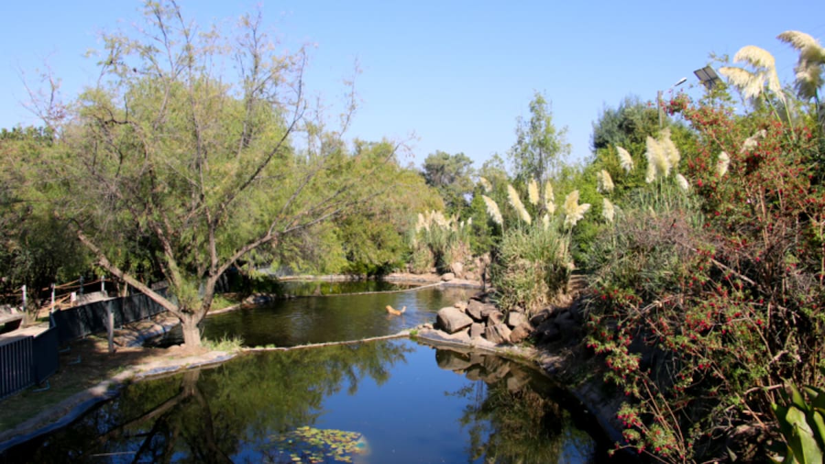 El pulmón verde de la Región Metropolitana que pocos conocen: Tiene más de 180 hectáreas, lagunas y es ideal para visitar en invierno