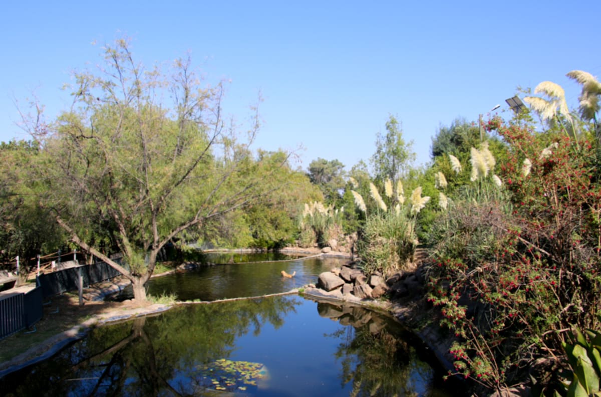 El pulmón verde de la Región Metropolitana que pocos conocen: Tiene más de 180 hectáreas, lagunas y es ideal para visitar en invierno