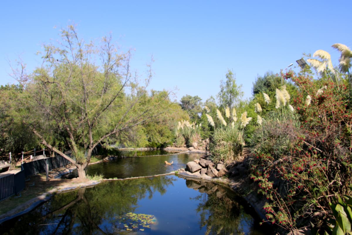 Este parque oculto de la capital tiene acceso gratuito para sus visitantes.